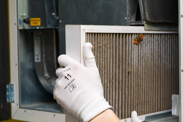 Best Home Air Vent Cleaning  in Princeton, IL