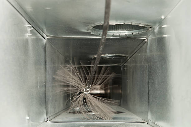 Best Residential Air Duct Cleaning  in Princeton, IL