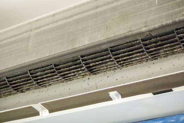 Best Affordable HVAC Duct Cleaning  in Princeton, IL